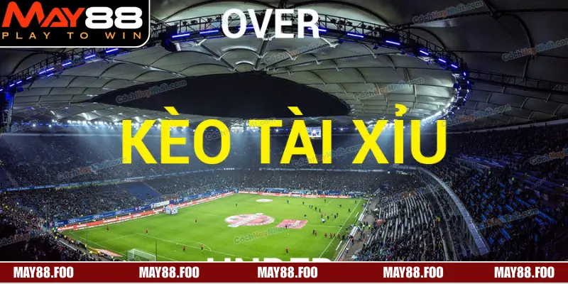 Thời gian bạn xuống tiền có thể quyết định thành bại